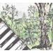 ��ť��˥��CD Piano set Ghibli