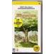  б/у PSP soft Popolo k Lois история ~pi Etro ... приключение ~ [ лучшая версия ]