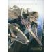  б/у аниме Mucc { темно синий колодка ma игра литература } FIRE EMBLEM0( Cypha ) ART WORKS II