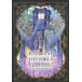  б/у аниме Mucc { темно синий колодка ma игра литература } RADIANT HISTORIA PERFESCT EDTION SPECIAL ART BOO