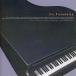  б/у такой же человек музыка DVD soft the Pianoforte / primenotes