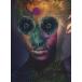 ���ˮ��CD DIR EN GREY / The Insulated World[DVD�մ�������������]
