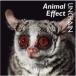 ˮCD UNCHAIN / Animal Effect