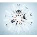 ���ˮ��CD Snow Man / Snow Mania S1[�̾���(������)]