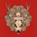 ˮCD Ÿ / YANKEE[̾]