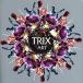 ť㥺CD TRIX / ART