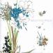  б/у Jazz CD BEAUTIFUL FIELD