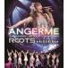 ���ˮ��Blu-ray Disc ���󥸥��� / ANGERME 10th ANNIVERSARY TOUR 2024 AUTUMN��R