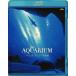 ��Ť���¾Blu-ray Disc BGV/THE AQUARIUM ���ȥ�� ���硼������²��