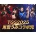  б/у пластиковая модель TGS2025 восток ... сотрудничество шлем бумажное моделирование [ Annals of Three Kingdoms подлинный битва / доверие длина. .. подлинный битва ] Tokyo ge-