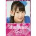  б/у календарь . бок . хорошо (AKB48) 2016 отчетный год настольный календарь 