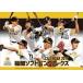  б/у календарь Fukuoka SoftBank Hawks 2019 отчетный год настольный календарь 