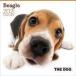  б/у календарь THE DOG Beagle 2021 год календарь 