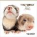 ť THE FERRET 2021ǯ٥