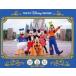  б/у игрушка ...[ Disney ] Tokyo Disney resort ограничение 