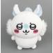 ���Âʂ������ �������K(���ԂɃV������) �ۂĂ��܂ʂ������ �u�������� �Ȃ񂩏������Ă��킢����v