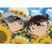  б/у мозаика Conan . Kid . Mukou .[ Detective Conan ] составная картинка 108 деталь [03-058]