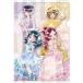  новый товар прозрачный файл набор A4 прозрачный файл [ Heart catch Precure!]