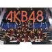 中古クリアファイル(女性アイドル) AKB48(集合横柄Ver.) チームサプライズ A4クリアファイル 「CRぱちんこAKB48」