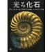  б/у монография ( практическое использование ) { наука * природа } светится окаменелость прекрасный камень стал старый живое существо ... иллюстрированная книга 