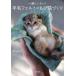  б/у монография ( практическое использование ) { дом ..* исследование жизни .} вместе . хочет! шерстяной войлок. .. кошка .../ Hinali