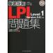 ñ() 㥳ԥ塼 Ű칶άLPI꽸 Level1 Version 3.5б
