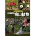  б/у монография ( практическое использование ) { растения .} Hokkaido. альпийские растения / слива ..