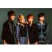  б/у life photograph ( Johnny's ) NEWS/ набор (4 человек )/ горизонтальный * верхняя часть тела * фон зеленый /[NEWS LIVE TOUR 2016 QUARTETTO] оригинал фото 