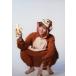 ������̿�(����) ��ë����(�����)/Monkey Works Vol.1�֥��󥮥�ҥ��㥫��!�������ΰ����ץ֥��ޥ���