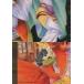 ��ť��˥�ϥȥ쥫 SERIAL No.74[�Ρ��ޥ�]���ѥ��륫���� 2/9