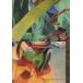 ��ť��˥�ϥȥ쥫 SERIAL No.80[�Ρ��ޥ�]���ѥ��륫���� 8/9