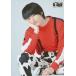 ���Ð��ʐ^(�j��) �a�c�됬(�S�[�����)/�G��/�u�f�扉�� �T�N�Z�X�� �`�N���� S �Ɛ����E�̊�Ձ`�v�u���}�C�h