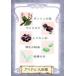 ť˥ϥȥ쥫 ITEM CARD no.17ƥ޴