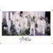 ť쥯󥫡() Stray Kids/(8)/΢ʸ졼/Stray Kid