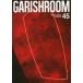  б/у идол журнал GARISH ROOM 45