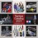  б/у хобби журнал TAMIYA CATALOG 2021 Tamiya каталог шкала модель версия 