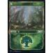 ��ťޥ��å������㥶��� 313[C]����M21�ۡ�FOIL�ۡ�PW�ե졼���ǡۿ�/Forest