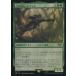 ��ťޥ��å������㥶��� 0173[R]����LTR�ۡ�FOIL�۵ݤ�̾�͡��쥴�饹/Legolas  Master Archer