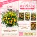 �t�����[�A�����W�����g �A�����W��(L) 10000�~(�ŕ�) 60cm��  ���j�� �J�X �J�� �J�@ ������ �a���� �� �t�����[�M�t�g�yflw-10000�z �֘A�摜2