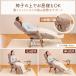 ���N���C�j���O�`�F�A confort(�R���t�H�[��) ��]�`�F�A �t�b�g���X�g�^�C�v / �����֎q �I�b�g�}�� �n�C�o�b�N �I�| ��]�֎q �p�[�\�i���`�F�A �֘A�摜4