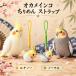 o черепаха длиннохвостый попугай ремешок netsuke крепдешин ryuukodou сделано в Японии мир смешанные товары птица товары длиннохвостый попугай брелок для ключа очарование дракон .. ограничение подарок 