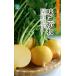 ڼ ̣֡͡ 20mlʴݼˡߡ     祫 PVPӿ建Ͽʼʼ̾MKB-599