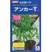  овощи семена шт. дерево для помидор [ якорь T] 100 шарик (takii вид рассада )[ включая доставку ] якорь чай ...-..- составной выдерживающий болезнь насекомое ... сила культивирование соответствующий .