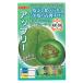  овощи семена синий мясо дыня [ выше Lee ] 30 шарик ( наан to вид рассада )[ включая доставку ]... незначительный кожа легкий .....uli