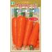  овощи семена человек Gin [ aroma красный ] пальто 200 шарик (to- ho k)[ включая доставку ] запад серия морковь морковь весна .. лето ..