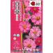  цветок семена 100 день .[ Berry z rose ] 40 шарик (takii вид рассада )[ включая доставку ] Berry z rose jiniahyaknichi saw . остров .ulasima saw длина ..cho поплавок .u saw FZN731