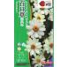  цветок семена 100 день .[ Berry z белый ] 40 шарик (takii вид рассада )[ включая доставку ] цветок. . вид Berry z белый jiniahyaknichi saw . остров .ulasima saw длина ..FZN732
