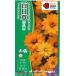  цветок семена 100 день .[ Berry z двойной orange ] 30 шарик (takii вид рассада )[ включая доставку ]jiniahyaknichi saw . остров .ulasima saw длина ..cho поплавок .u saw FZN744