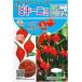  овощи семена tougalasi[bi ключ nyo] 20 шарик (tokita вид рассада )[ включая доставку ] красный острый перец перец стручковый .kore посадочная машина культивирование 