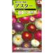  цветок семена астер [ Chikuma pompon смешивание ] 1ml( примерно 150 минут )(takii вид рассада )[ включая доставку ]...ezogik Satsuma .satsu Magi kFAS129